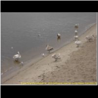 12113 Seebruecke  Sopot bei  Danzig, Gdansk, Polen 2006.JPG